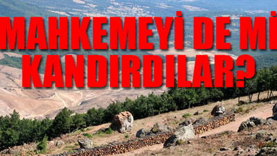 Kanadalı şirketin Kaz Dağları'ndaki ağaç katliamında yeni skandal
