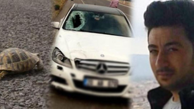 Kaplumbağayı kurtarmak isterken canından oldu