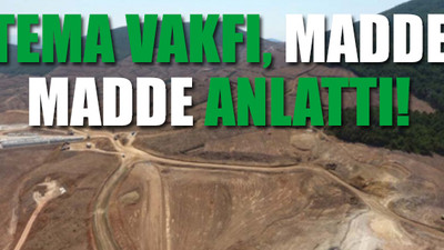 Kaz Dağları'nda kaç ağaç kesildi?