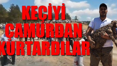 Kaz Dağları'ndaki Alamos şirketinin kazı alanına girince şok oldular