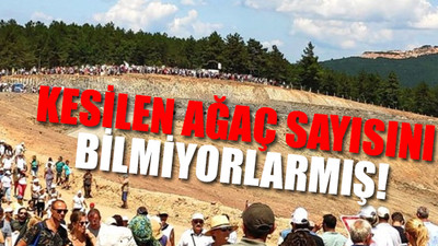 Kaz Dağları'ndaki kesimi Orman Bölge Müdürlüğü yapıyormuş!