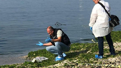 Köpekler Beylikdüzü sahilinde bebek cesedi buldu