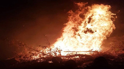 Kozan'da 5 dönüm kızılçam ormanı kül oldu