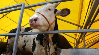 'Kredi kartıyla kurban kesilebilir'