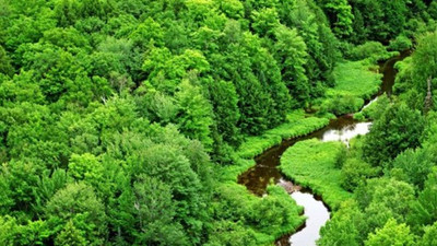 Manisa’da bir ormanı daha yok edecekler