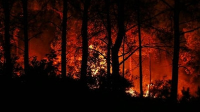 Meteoroloji'den orman yangınına karşı uyarı!