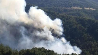 Muğla'da orman yangını