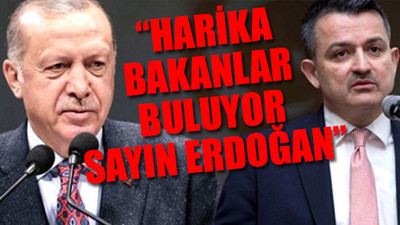 Özgür Mumcu'dan Bakan Pakdemirli çıkışı