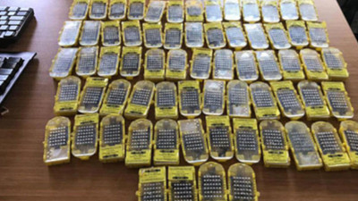 Sabiha Gökçen Havalimanı'nda 'bal arısı' operasyonu