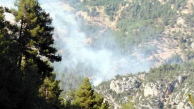 Tarsus'ta orman yangını