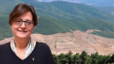 TEMA’dan Kaz Dağları uyarısı: Siyaset üstü bir durumdur