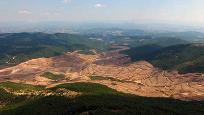 teyit.org açıkladı: Kaz Dağları'nda altın madeni için kaç ağaç kesilmiş olabilir?