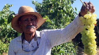 Tuncelili Robinson Crusoe, adada tek başına yaşıyor