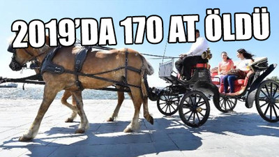 Adalar’da fayton bilançosu