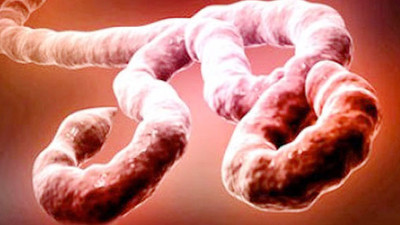 Eboladan ölenlerin sayısı 1984’e yükseldi