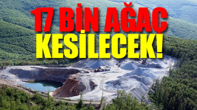 Istranca Ormanları da madenciye kurban gidiyor!