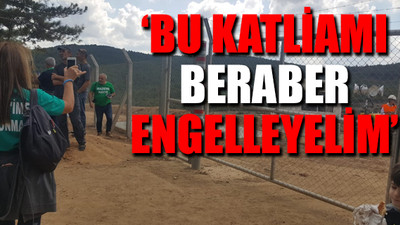 Kaz Dağları'ndaki katliam devam ediyor