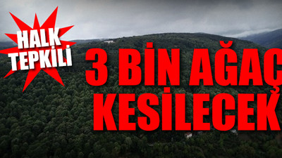 Sapanca’da teleferik isyanı