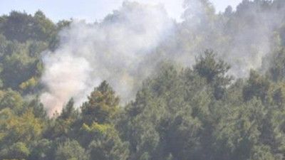 Sinop'ta şüpheli orman yangını