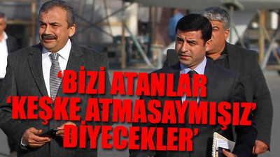 Sırrı Süreyya Önder, Selahattin Demirtaş ile planlarını açıkladı