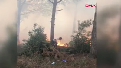 Sultangazi Kent Ormanı'nda yangın