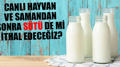 Süt üretiminde tehlikeli düşüş