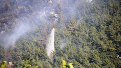 Tarım ve Orman Bakanlığı'ndan yangınlarla ilgili açıklama