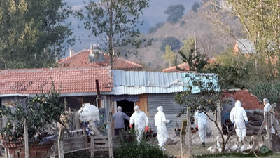 Toprağa gömülü 6 bin tavuk ölüsü bulundu, mahalle karantinaya alındı