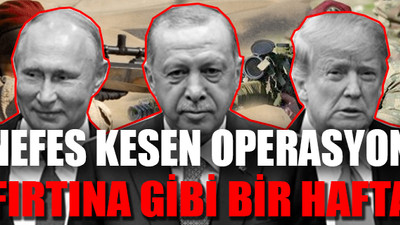 Barış Pınarı Harekâtı'nda neler oldu, Dünya'da neler yaşandı?