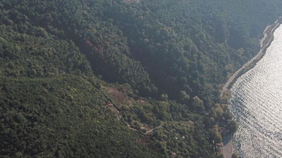 Beykoz’daki yangında kundaklama şüphesi!