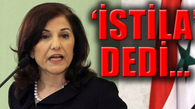 Esad'ın Danışmanı: Kürtlere memnuniyetle yardım edeceğiz