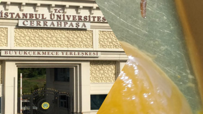 İstanbul Üniversitesi'nde kurtlu yemek