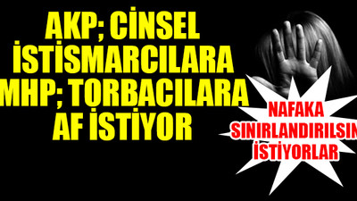 İşte AKP ve MHP'nin gündemi...