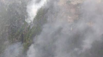 Muğla'da orman yangını!
