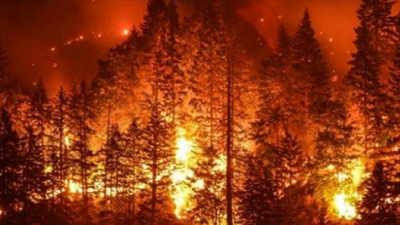 Orman yangınlarına karşı sprey geliştirildi