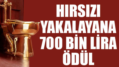 Polis saraydan çalınan altın klozet hırsızlarının peşinde
