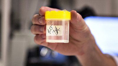 Sperm bağışladı; 5 çocuk için anlaştı, 17 çocuğu olunca dava açtı