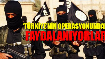 ABD'den IŞİD raporu