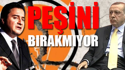Erdoğan'ın Ali Babacan çekincesi...