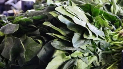 İstanbul Tarım Müdürlüğü'nden 'ıspanak' açıklaması