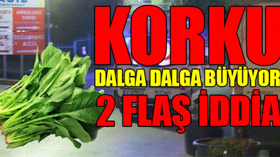 İstanbul’da ıspanak alarmı! Ispanak zehirlenmeleri artıyor