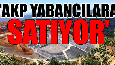 Türkiye'nin madenleri kimlere satılıyor?