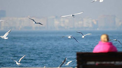 Yağmur gitti 'pastırma sıcakları' geldi! Önümüzdeki 5 günlük hava durumu