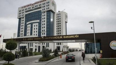 Bakanlıktan, 'sıfır gümrükle buğday ithal' açıklaması