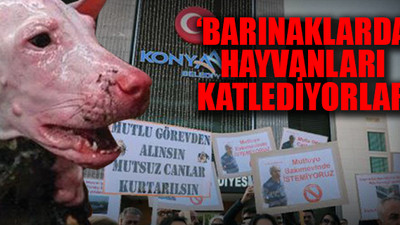 Hayvanseverler Konyaaltı Belediyesi Veteriner İşleri Müdürü'nü protesto etti