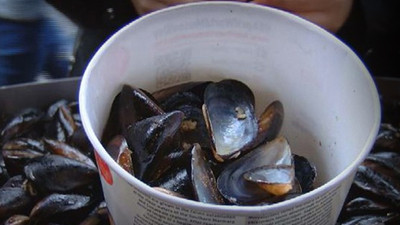 İstanbul'da 'zehirli midye' tehlikesi