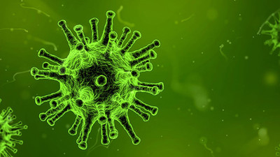 ‘İstanbul halkını uyuz konusunda uyarıyoruz!’ 