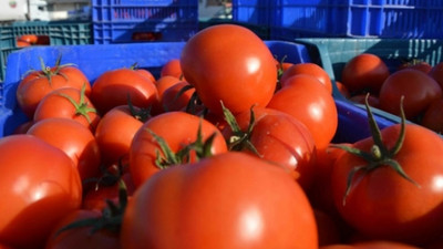 İstanbul’un Kasım ayı zam şampiyonu domates oldu