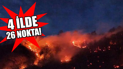 Karadeniz’de dört şehirde orman yangını