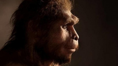 'Modern insanın atası, 1.6 milyon yıl Endonezya'da yaşayıp orada yok olmuş'